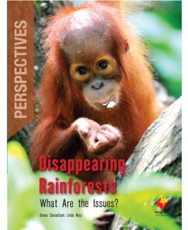 Disappearing Rainforests: What Are the Issues?
