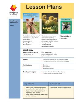 Lesson Plan - What Can You See? | Animal Babies LP