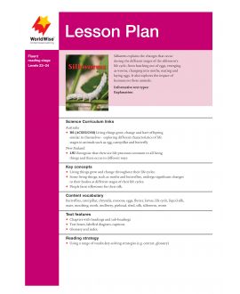 Lesson Plan - Silkworms