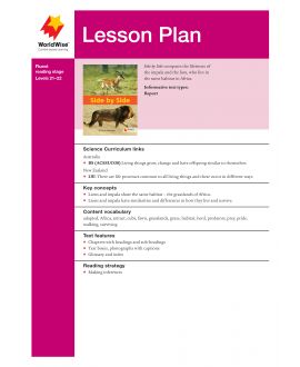 Lesson Plan - Side By Side