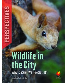 Wildlife in the City: Why Should We Protect It?