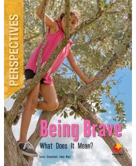 Being Brave: What Does it Mean?