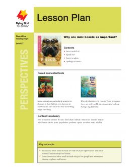Lesson Plan - Mini Beasts The Good, the Bad and the Ugly