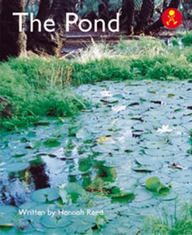 The Pond