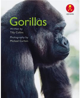 Gorillas