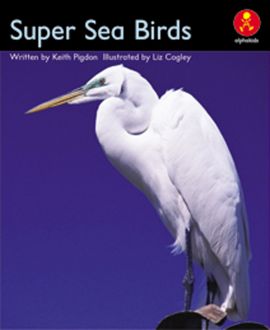 Super Sea Birds