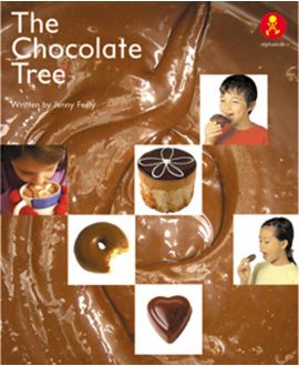 The Chocolate Tree