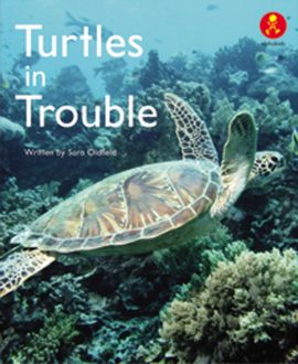 Turtles in Trouble