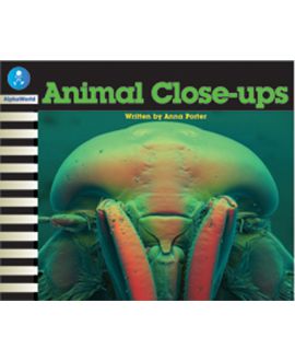 Animal Close-ups