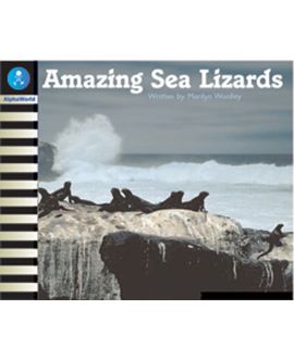 Amazing Sea Lizards