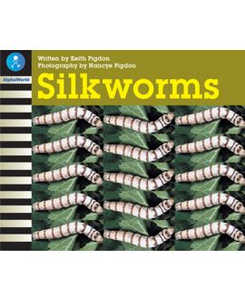 Silkworms