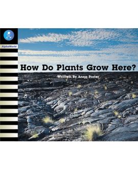 How Do Plants Grow Here?