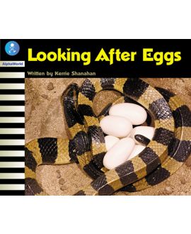 Looking After Eggs