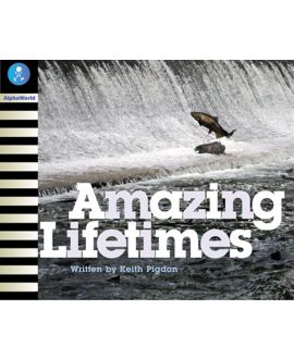 Amazing Lifetimes