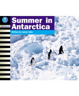 Summer in Antarctica