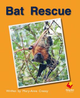 Bat Rescue