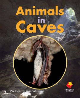 Animals in Caves