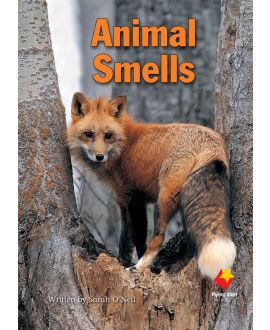 Animal Smells