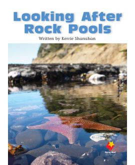 Looking After Rock Pools