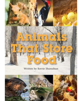 Animals That Store Food