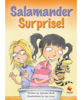 Salamander Surprise