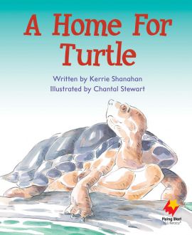 A Home For Turtle