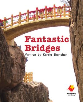 Fantastic Bridges