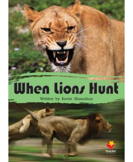 When Lions Hunt