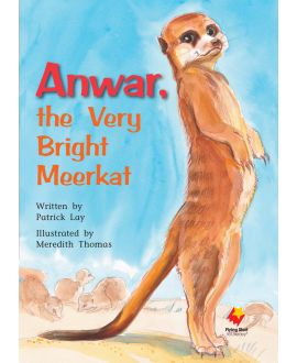 Anwar, The Very Bright Meerkat