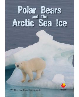 Polar Bears and the Arctic Sea Ice