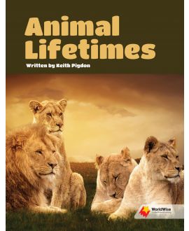 Animal Lifetimes