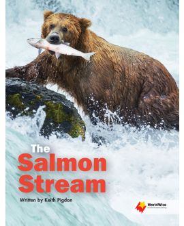 The Salmon Stream