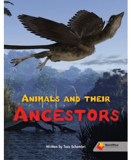 Animals and Their Ancestors