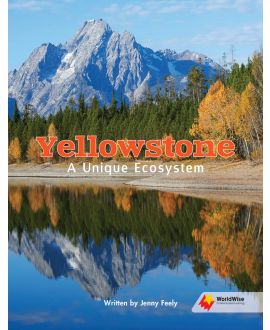 Yellowstone: A Unique Ecosystem