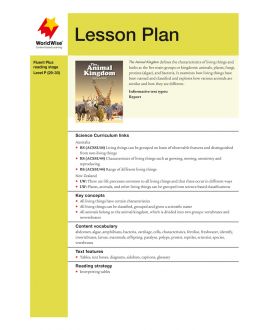 Lesson Plan - The Animal Kingdom