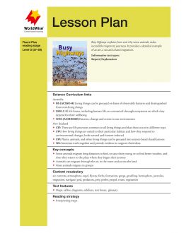 Lesson Plan - Busy Highways