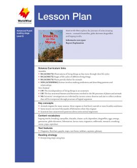 Lesson Plan - Insects on the Move