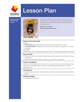 Lesson Plan - Animal Shelters