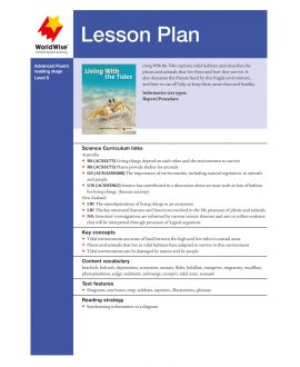 Lesson Plan - Living With the Tides