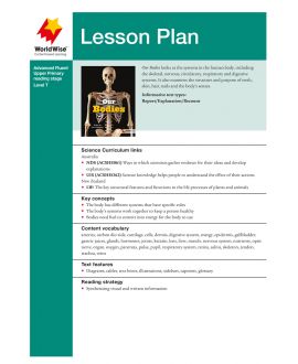 Lesson Plan - Our Bodies