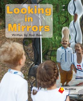 Looking in Mirrors