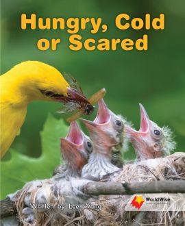 Hungry, Cold or Scared