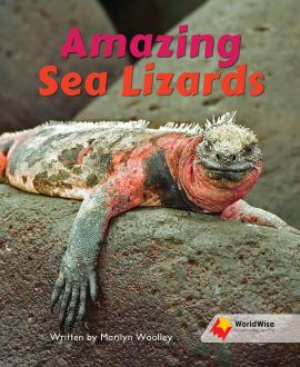 Amazing Sea Lizards
