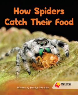 How Spiders Catch Their Food