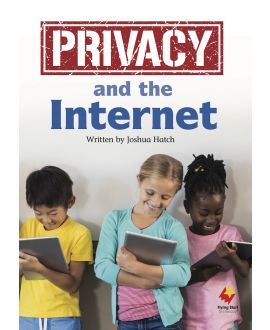 Privacy and the Internet