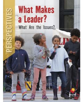 What Makes a Leader? What Are the Issues?