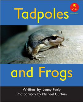 Tadpoles and Frogs