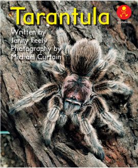 Tarantula