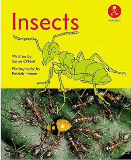 Insects