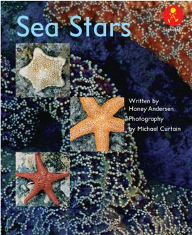 Sea Stars